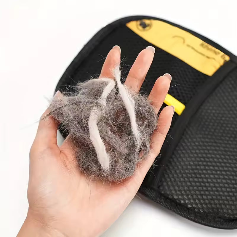 PoilZero | Brosse Anti-Poils Réutilisable
